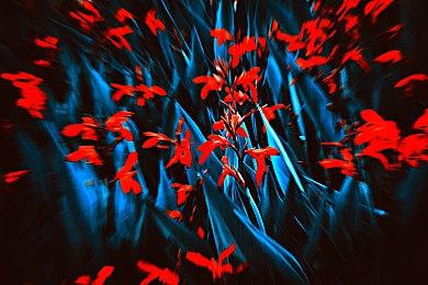 《异度神剑3》官方发布BGM 《おくられる命》完整版