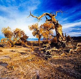 《暗黑破坏神4》第一赛季四种恶疫魔心公布